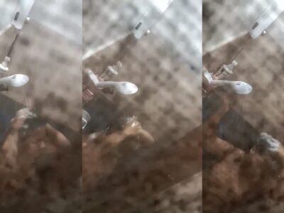 ส่องของดี ดูป้าอาบน้ำ ของดีแบบนี้ต้องขอเย็ดให้ได้ซักวัน